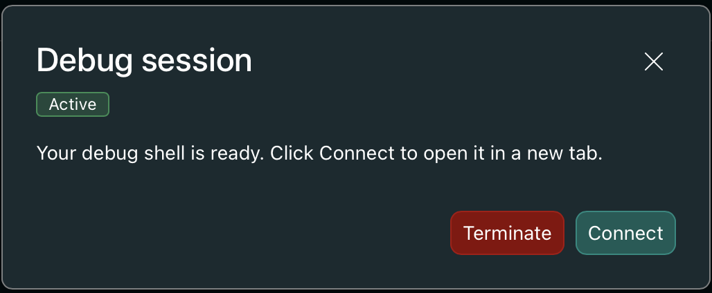 Debug session active state with Connect and Terminate buttons
